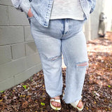 Risen Lightwash Denim