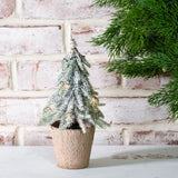 Droop Snow Tree W/lights